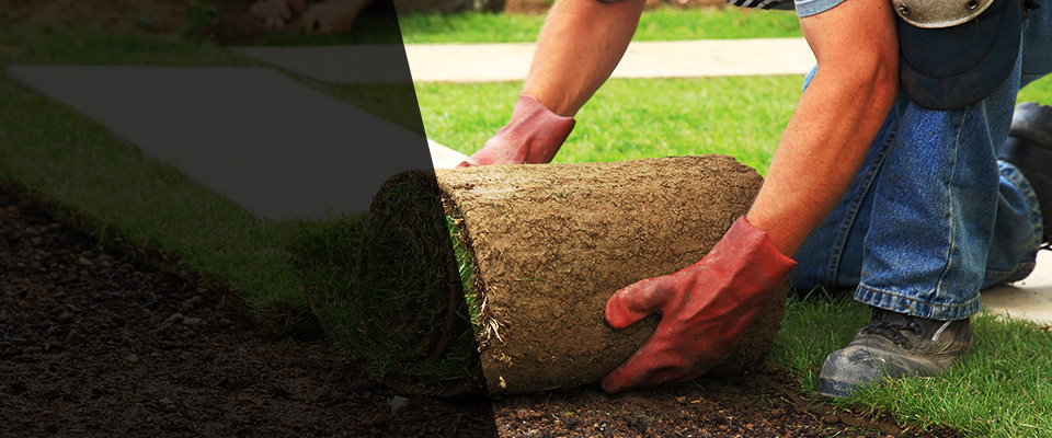Homer Glen Landscapers
